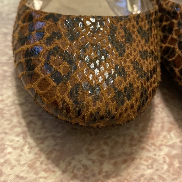 Steve Madden P-Heaven Patent Flat Ballet Style Shoe Snakeskin Leopard Pattern - Picture 5 of 14